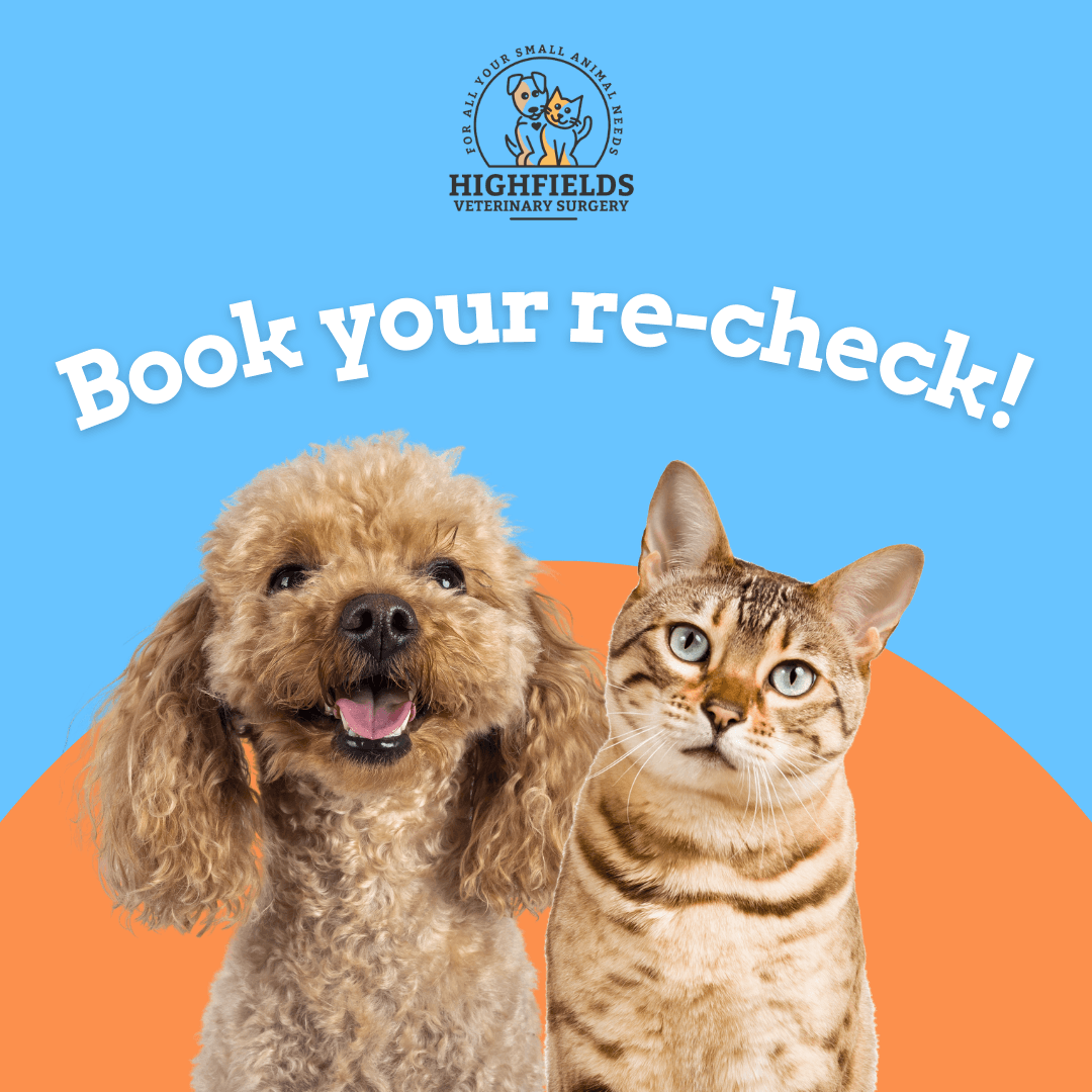 The Importance of a Re-Check The Importance of a Re-Check